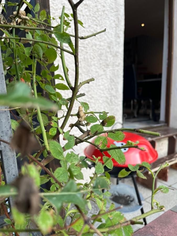 Appartamento Alpina Haus Oberammergau Esterno foto